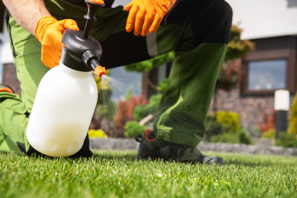 Best Commercial Pest Control Services  in Lake Of The Pines, CA