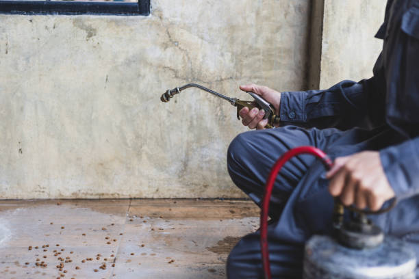 Best Affordable Pest Control Services  in Lake Of The Pines, CA